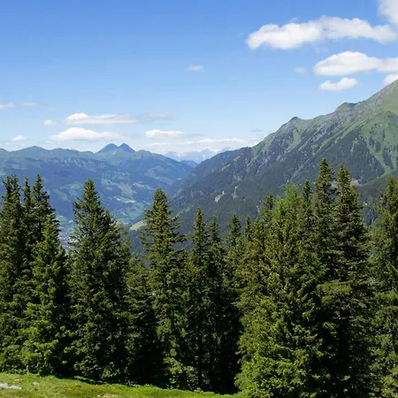 Gasteinerhuette Im Zirbenwald Salzburg Hébergement de vacances Bad Gastein